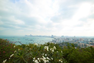 Tayland güzel dolgu 