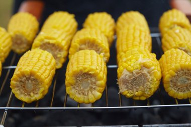 Izgarada Mısır kulakları