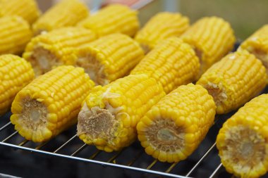 Izgarada Mısır kulakları