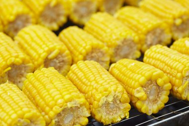 Izgarada Mısır kulakları