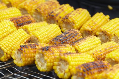 Izgarada Mısır kulakları