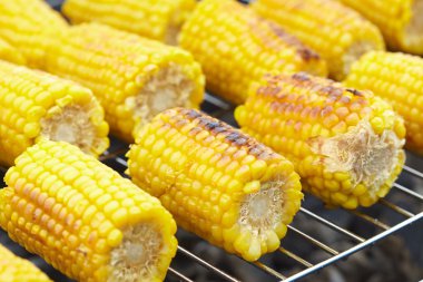 Izgarada Mısır kulakları