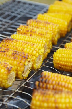 Izgarada Mısır kulakları