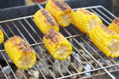 Izgarada Mısır kulakları