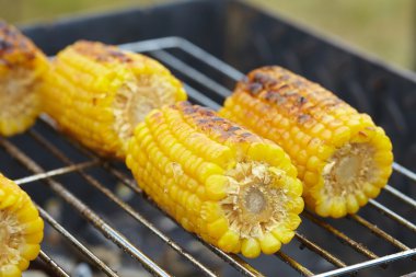 Izgarada Mısır kulakları