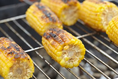 Izgarada Mısır kulakları