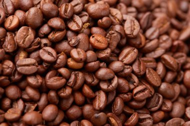 Taze kavrulmuş kahve çekirdeği.
