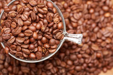 Taze kavrulmuş kahve çekirdekleri Kupası 