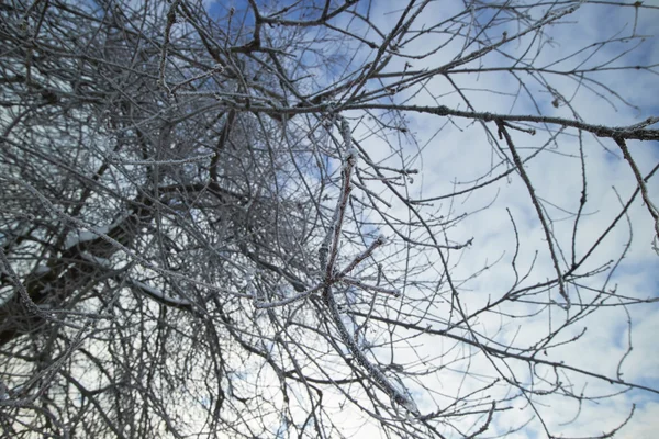 Linda paisagem de inverno — Fotografia de Stock