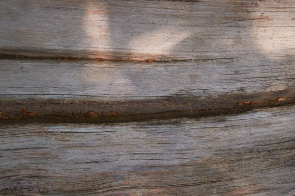 Textura de tablero de madera vieja —  Fotos de Stock