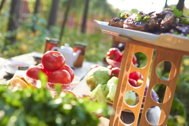 Piknik sebze ve ızgara tavuk kanadı 