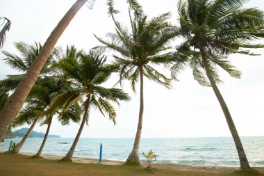Tayland güzel deniz manzarası 
