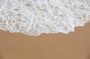 Tropikal okyanus plaj dalgalar ile