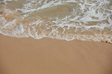 Tropikal okyanus plaj dalgalar ile