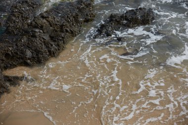 Kayalık okyanus plaj dalgalar ile