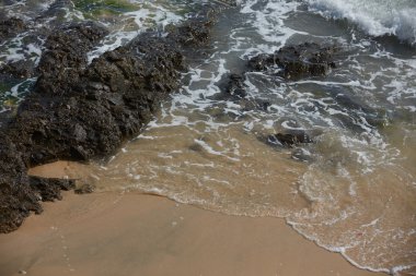 Kayalık okyanus plaj dalgalar ile