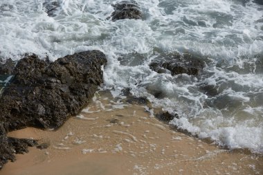 Kayalık okyanus plaj dalgalar ile