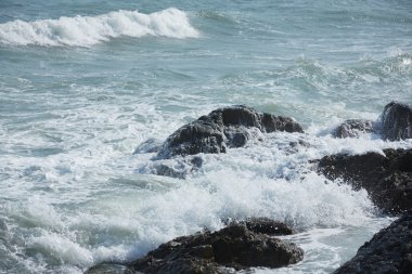 Kayalık okyanus plaj dalgalar ile