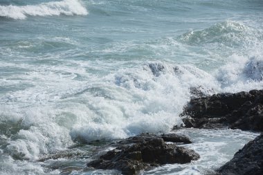 Kayalık okyanus plaj dalgalar ile