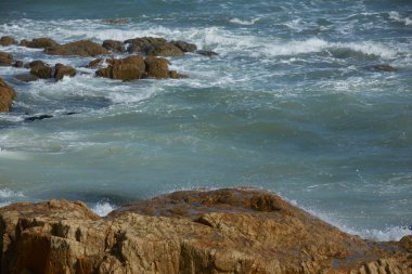 Kayalık okyanus plaj dalgalar ile