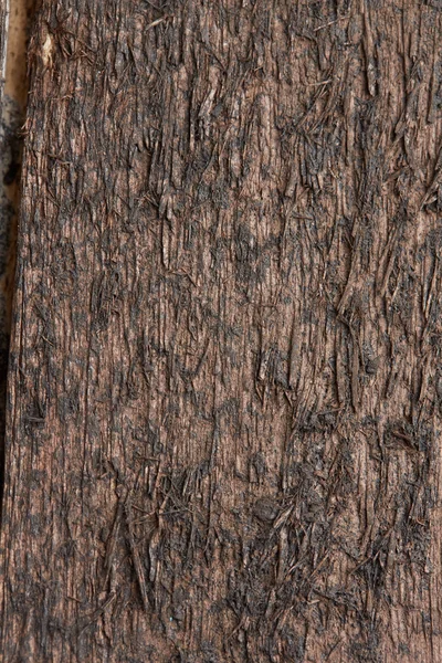 Dark wooden board texture — Stock Photo, Image