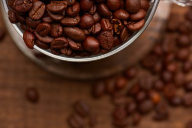 Taze kavrulmuş kahve çekirdekleri Kupası 