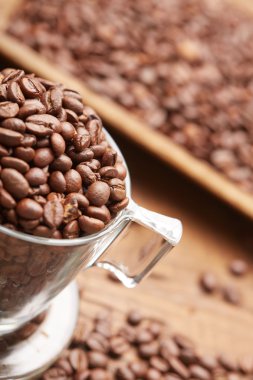Taze kavrulmuş kahve çekirdekleri Kupası 