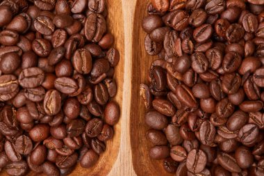 Taze kavrulmuş kahve çekirdeği.