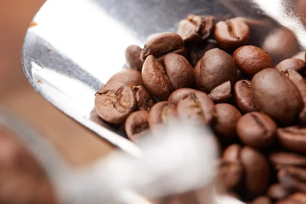 Granos de café tostados frescos en cucharada — Foto de Stock