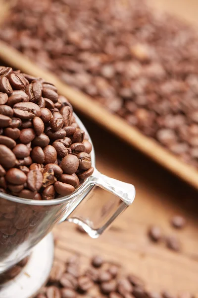 Granos de café tostados frescos en taza — Foto de Stock