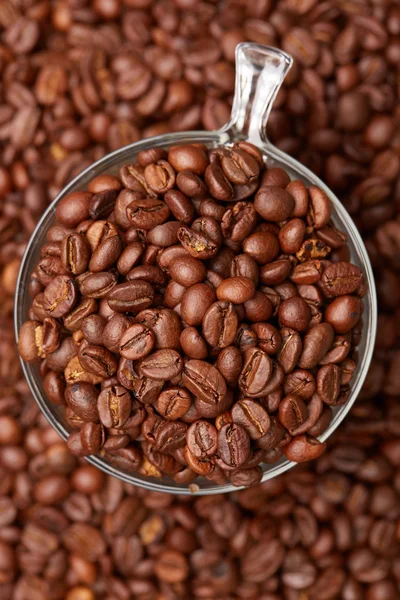 Granos de café tostados frescos en taza — Foto de Stock