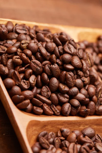 Granos de café en bandeja — Foto de Stock