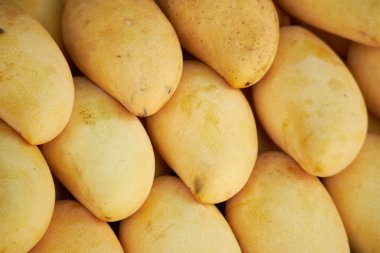 Tatlı sarı mango Tayland 