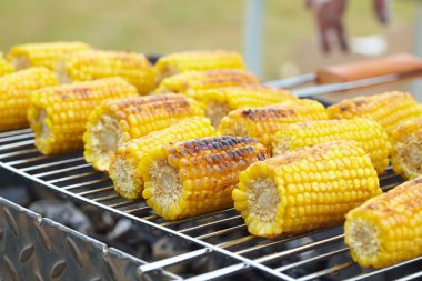 Izgaradaki mısır koçanları