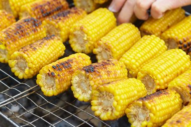 Izgaradaki mısır koçanları