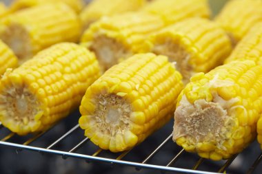 Izgaradaki mısır koçanları