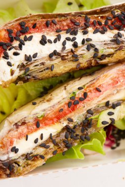 sebze ile peynir rulo