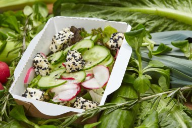 turp, salatalık ve peynir salatası