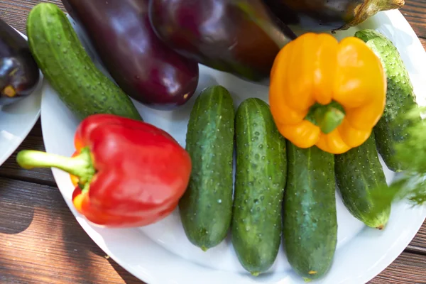 Verduras frescas en un picnic — Foto de Stock