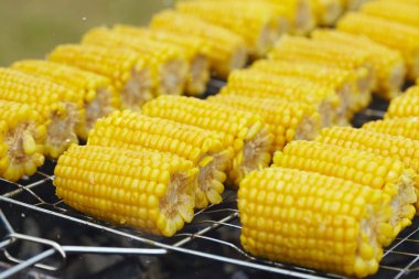 Izgaradaki mısır koçanları