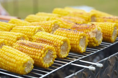 Izgaradaki mısır koçanları