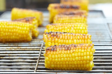 Izgaradaki mısır koçanları