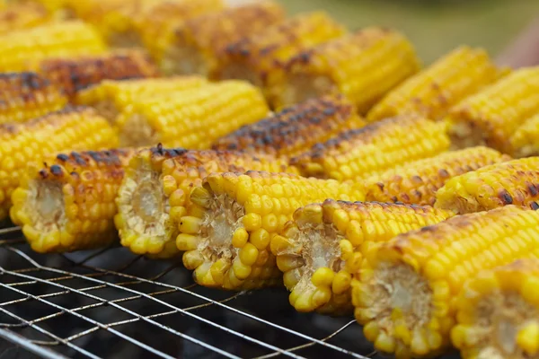 Mazorcas de maíz en la parrilla — Foto de Stock