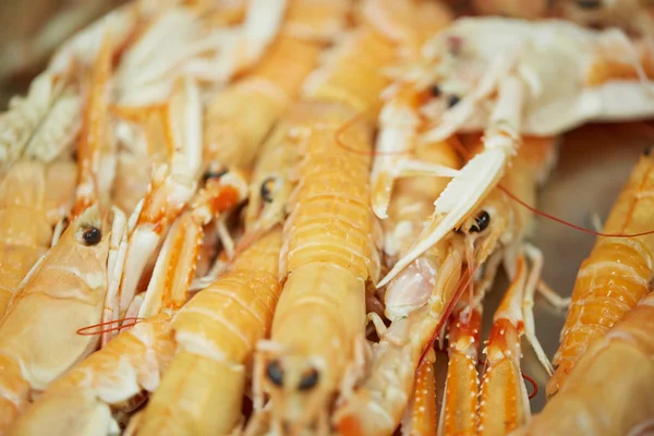 Taze lezzetli lezzetli kerevit 