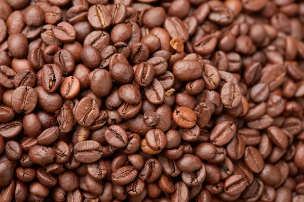 Kahve çekirdekleri yakın plan.