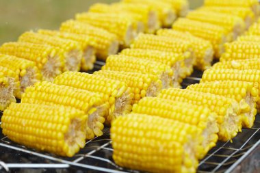 Izgaradaki mısır koçanları