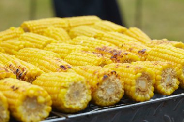 Izgaradaki mısır koçanları