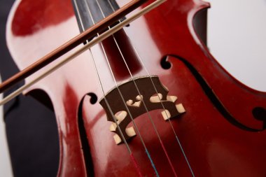 Çello ile genç adam