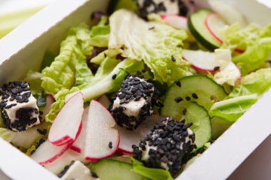 turp, salatalık ve peynir salatası