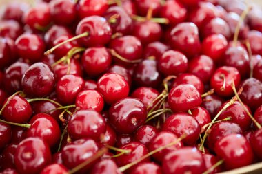 Lezzetli, güzel büyük kiraz